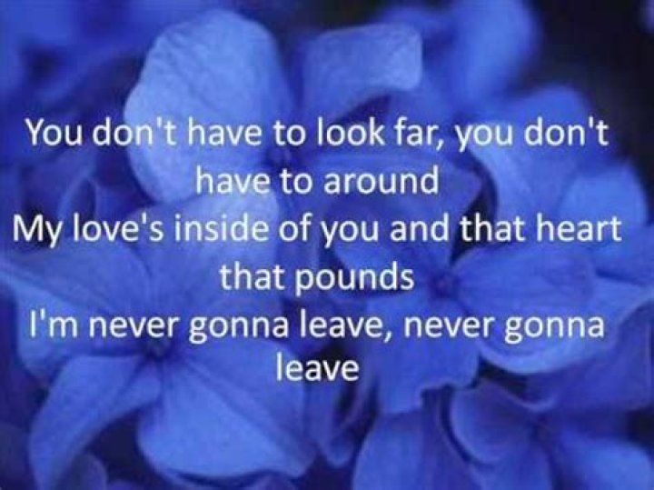 Never gonna leave you lyrics