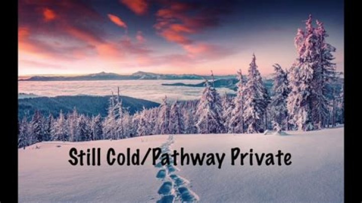 The Meaning Behind The Song: Still Cold / Pathway Private by Night Lovell
